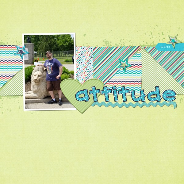 Attitude
