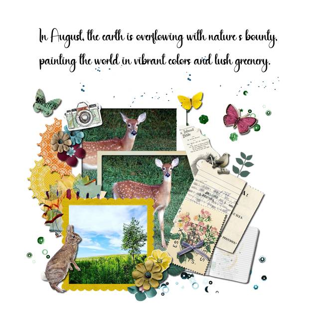 August Beauty