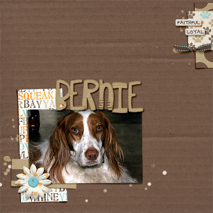 august template challenge