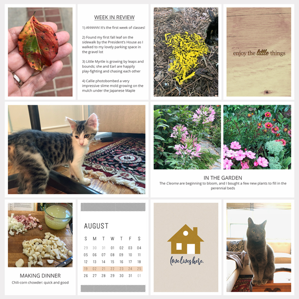 August-Week-4