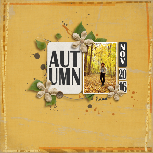 Autum n -Nov 2016