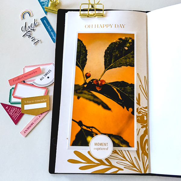 Autumn 2018 | Traveler's Notebook