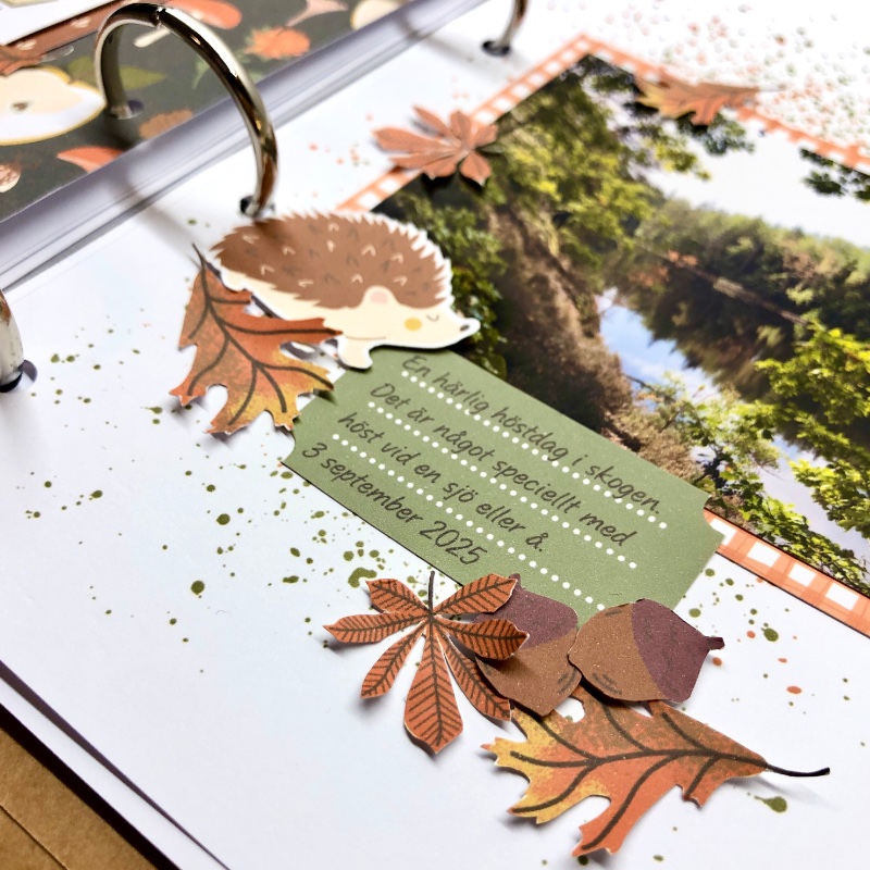 Autumn favorites - close up