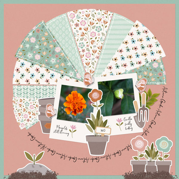 Autumn Garden