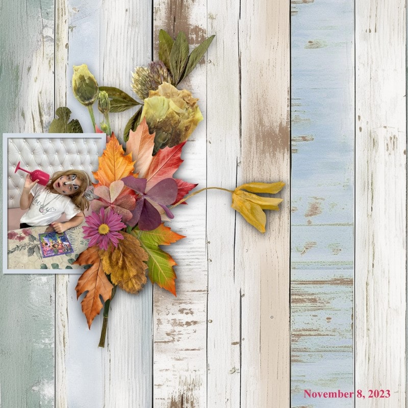 Autumn leaves