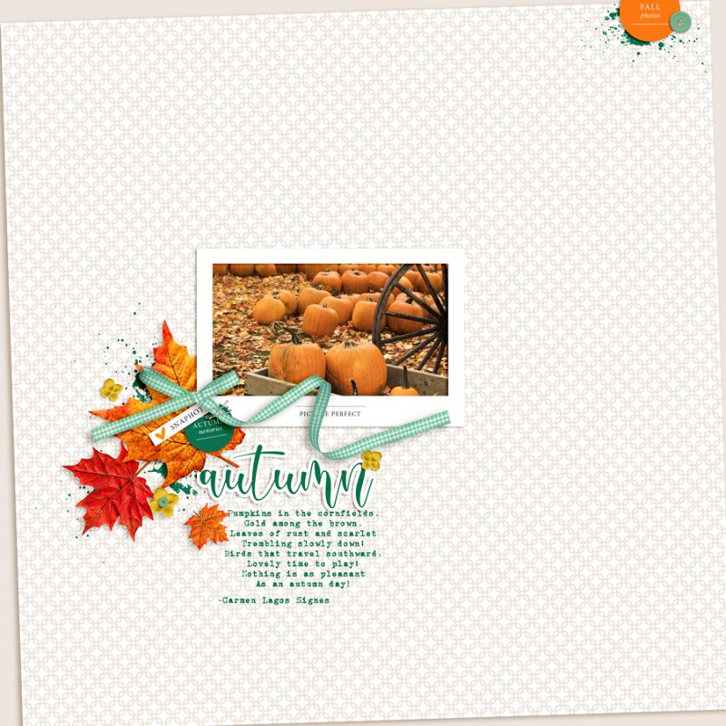 Autumn-memories