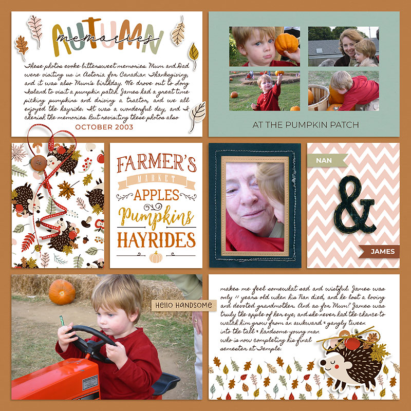 Autumn Memories