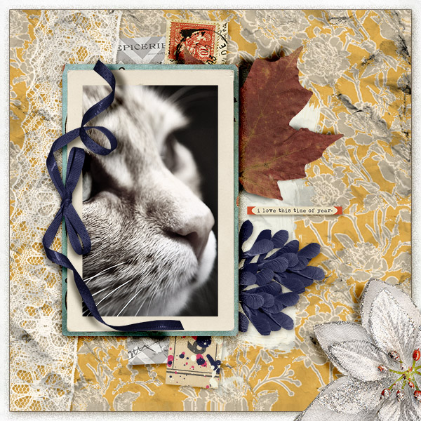 Autumn time
