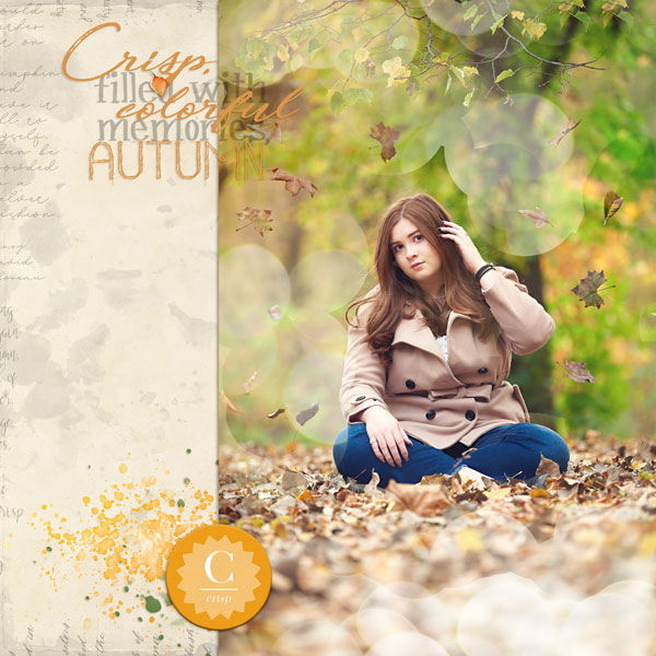 Autumn_Bokeh_MOC9