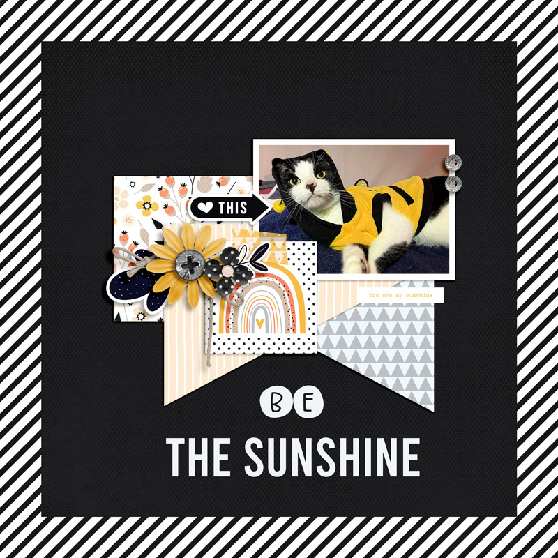be the sunshine