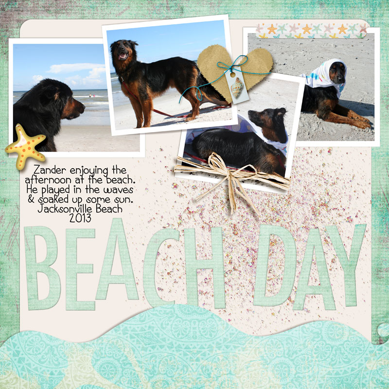 Beach-Day-13