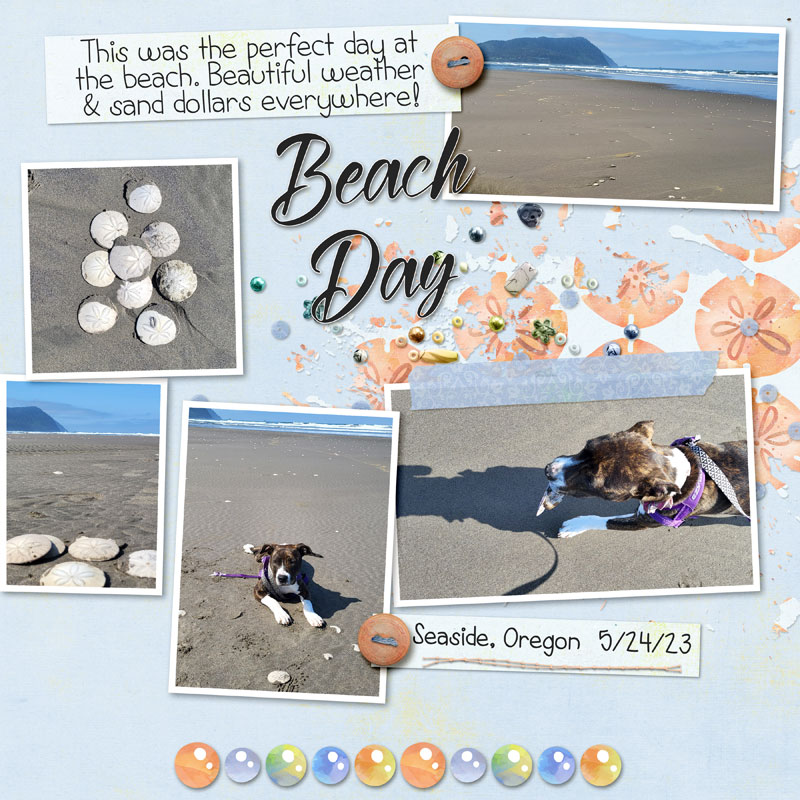 Beach-Day
