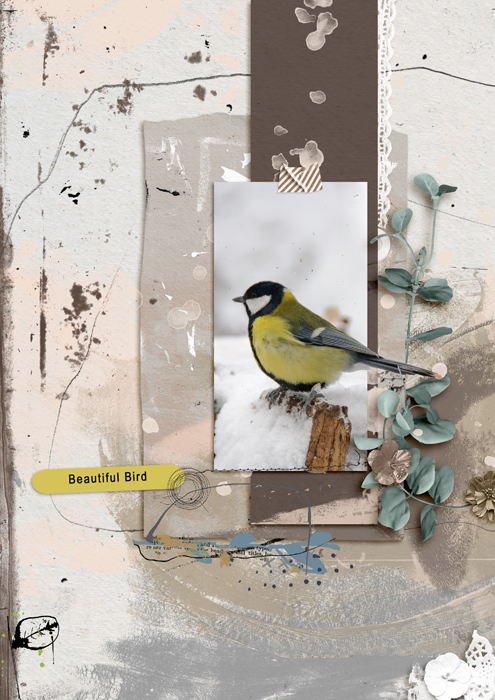 Beautiful Bird