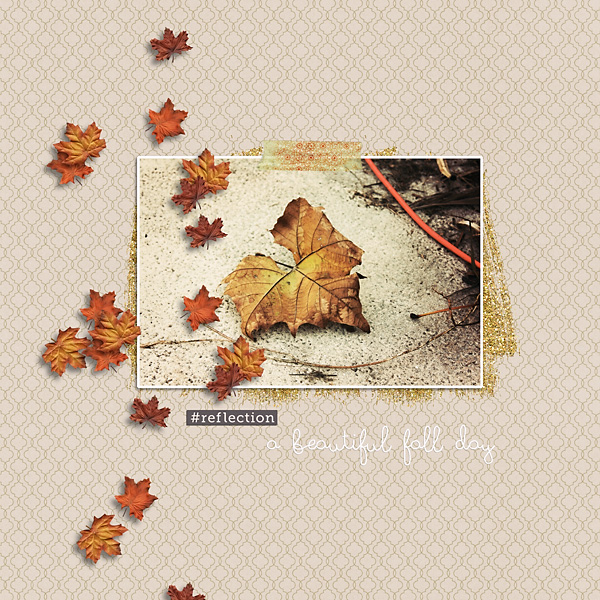 Beautiful Fall Day