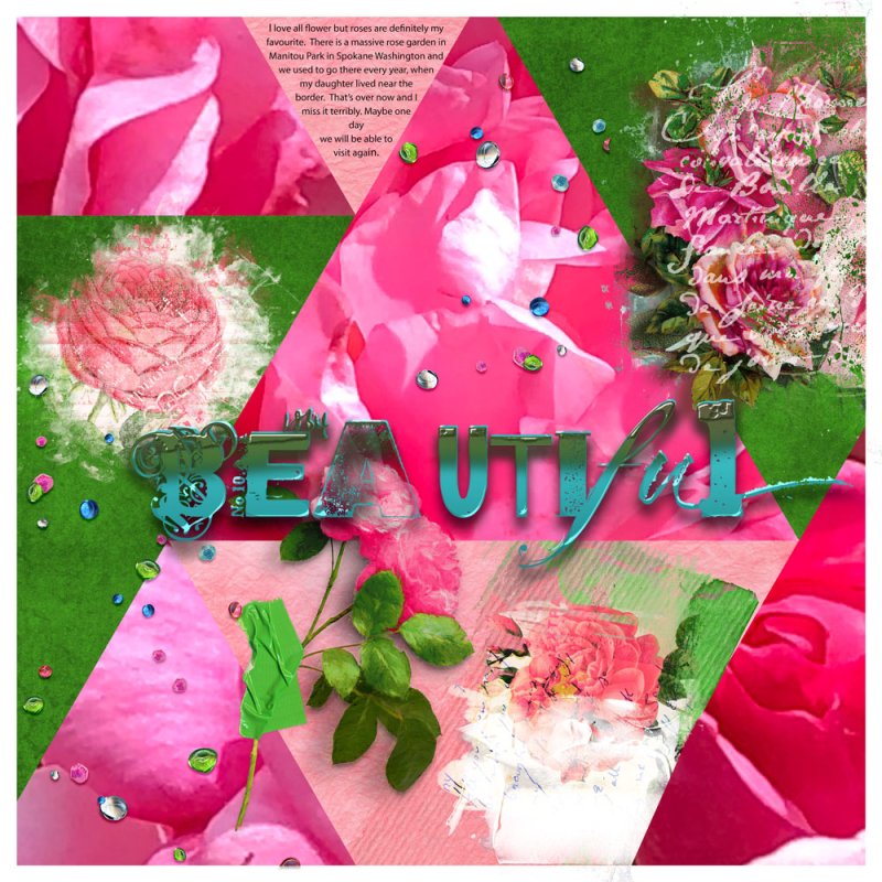 Beautiful Roses!