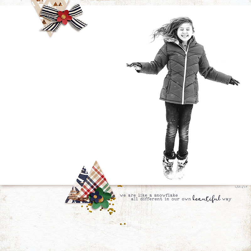 beautiful snowflake