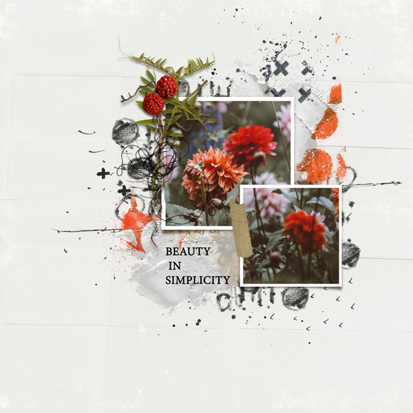 Beauty In Simplicity