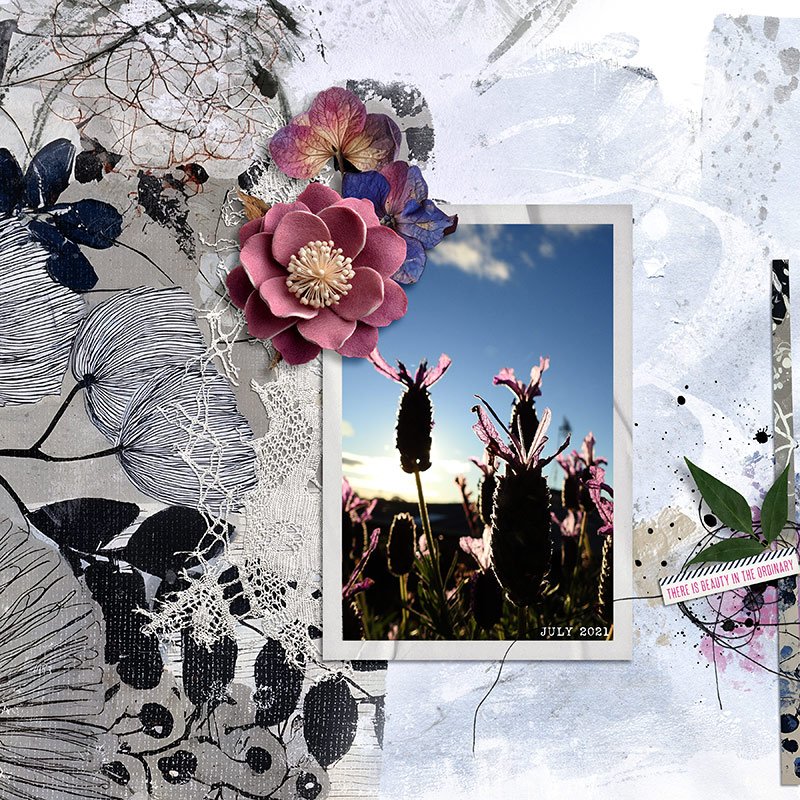 BEAUTY IN THE ORDINARY