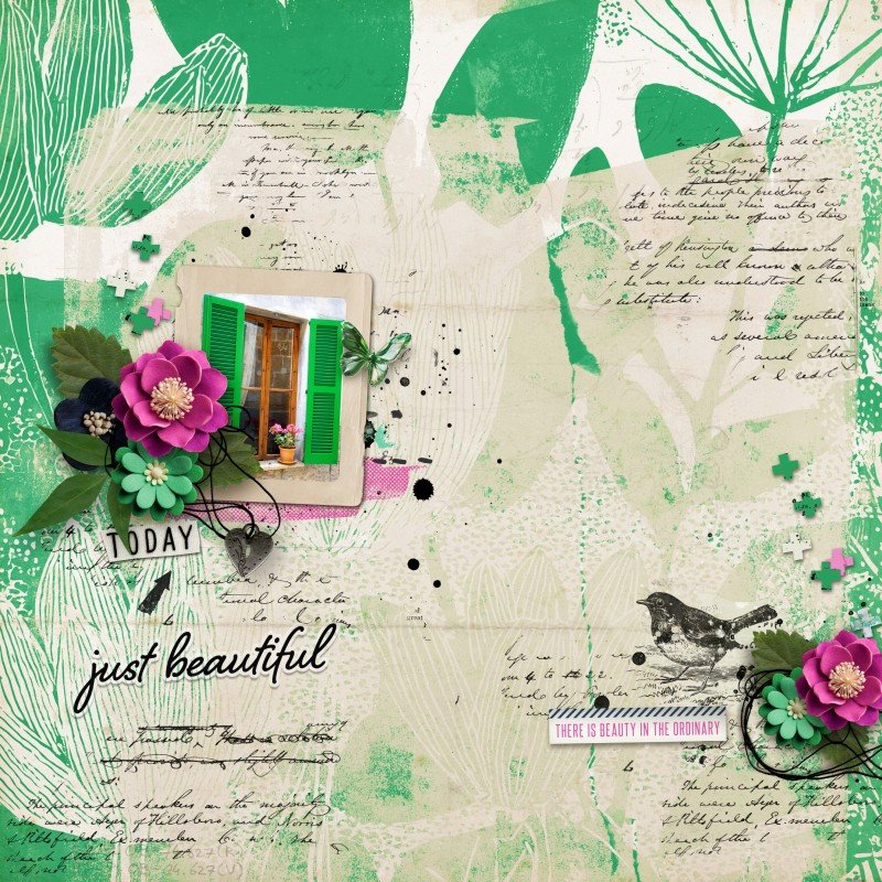 Beauty in the Ordinary