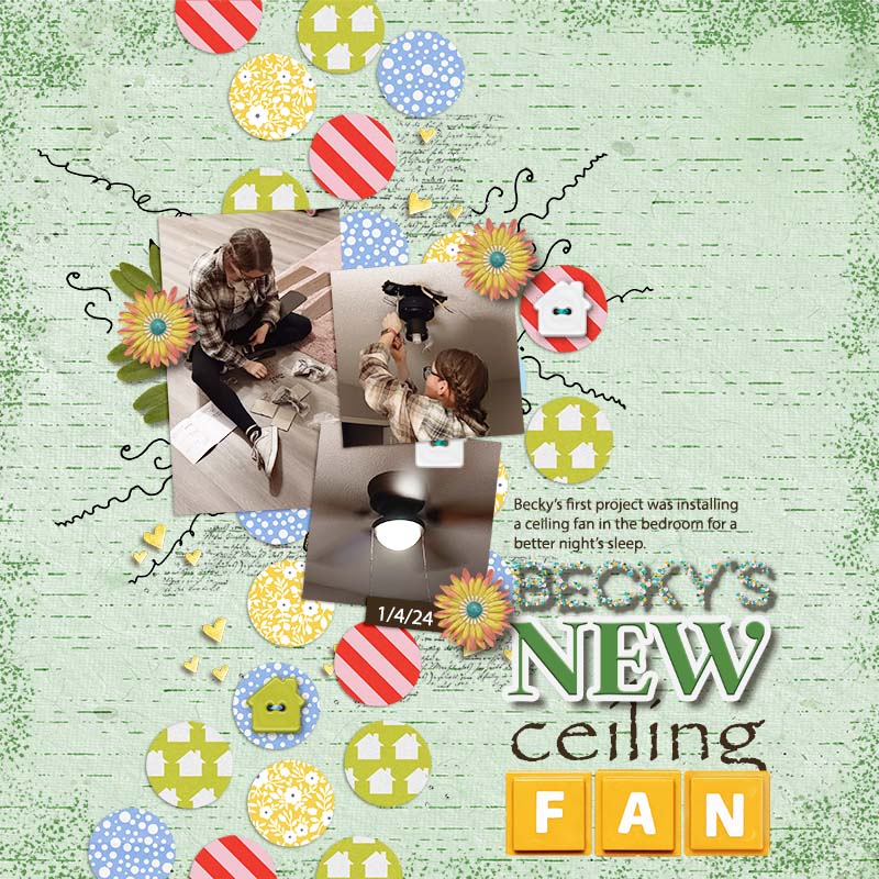 Becky's New Ceiling Fan