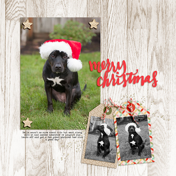 Bella In Santa Hat (#3)