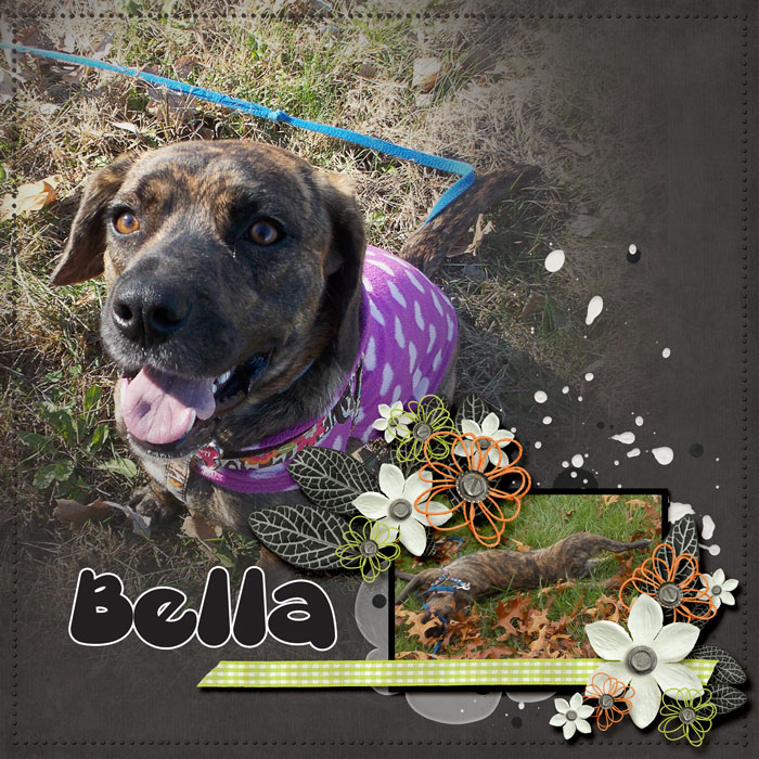 Bellaleavesremake_sm