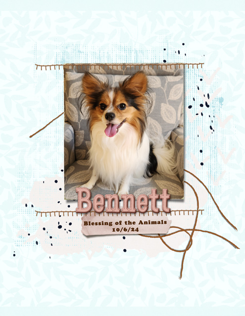 Bennett---Blessing-of-the-Animals