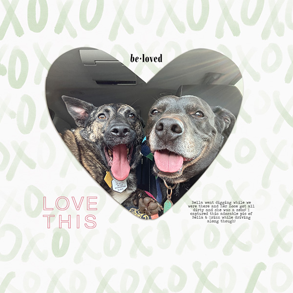 Best Dogs