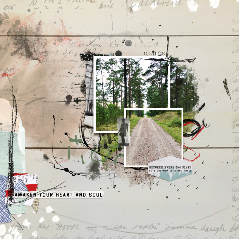 Between the pines