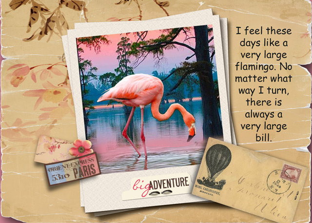 Big-Adventure