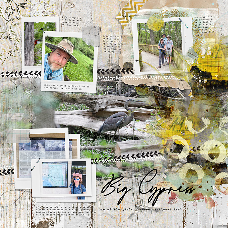 Big Cypress Park