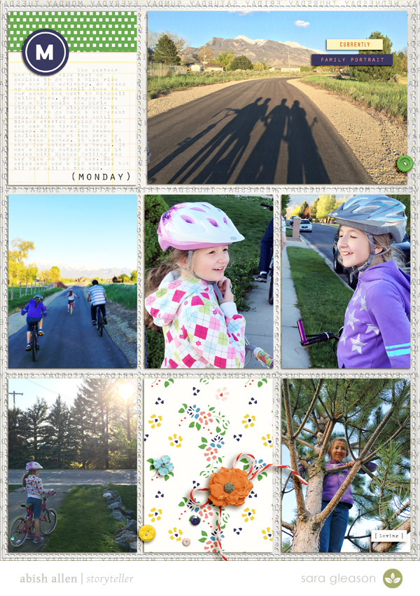 Bike-FHE