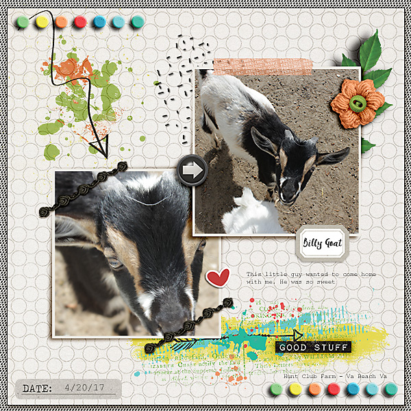 Billy Goat