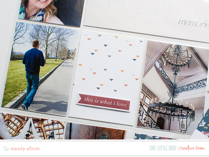 Biltmore Estate Visit | Details