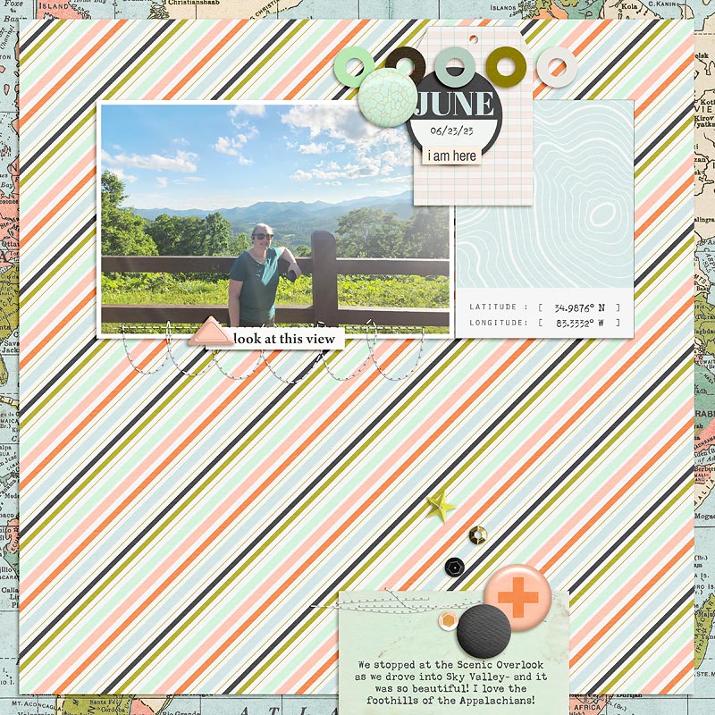 Bingo Slow Scrap 6/28- This View