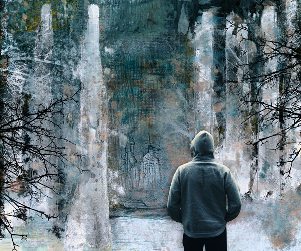 Birch Forest
