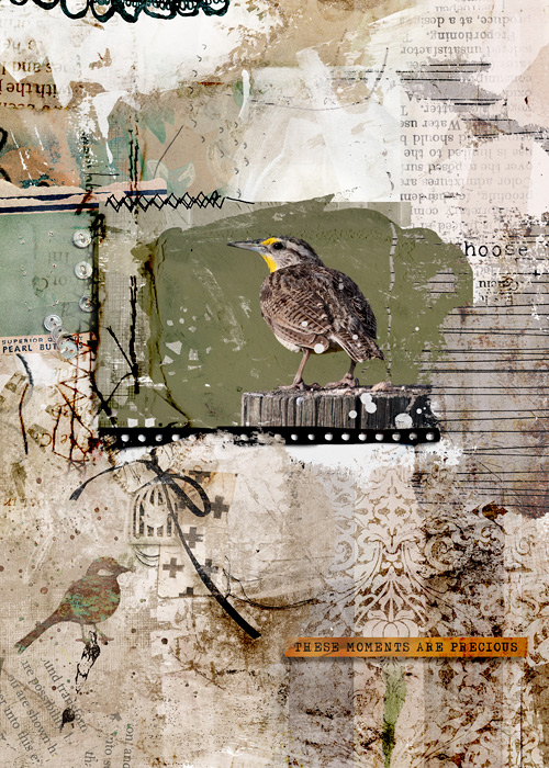 Bird