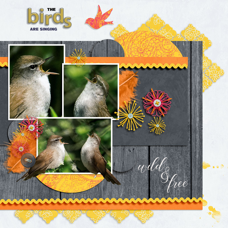 Birds are singing