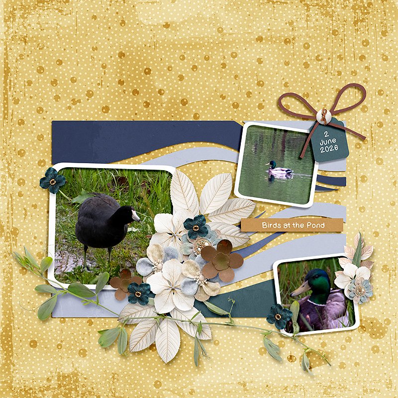 Birds at the Pond