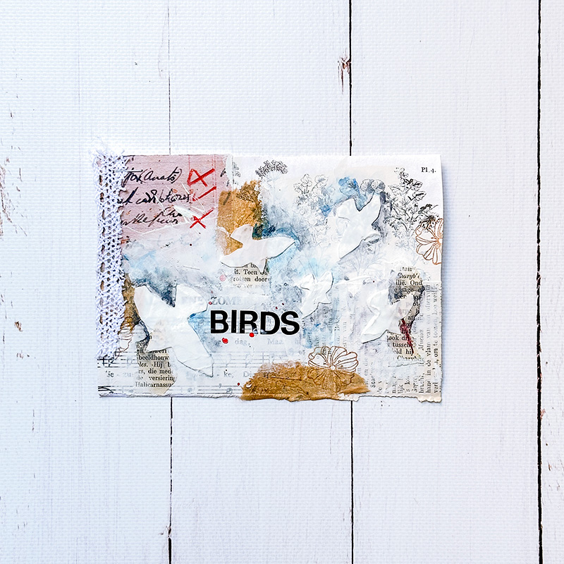 Birds (Hybrid)