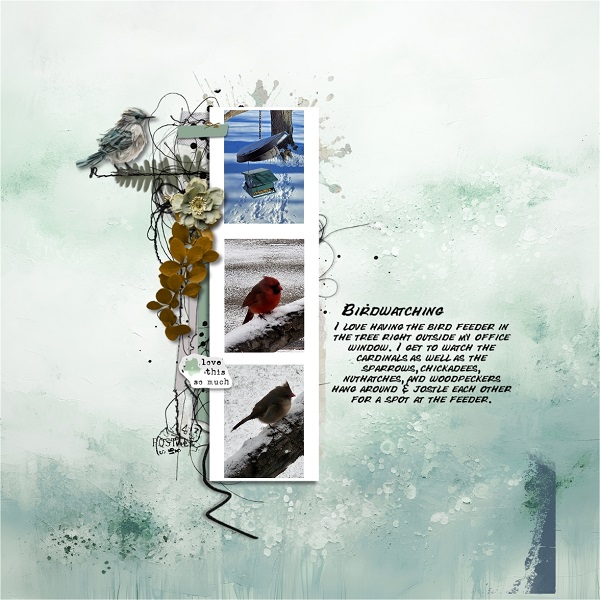 Birdwatching