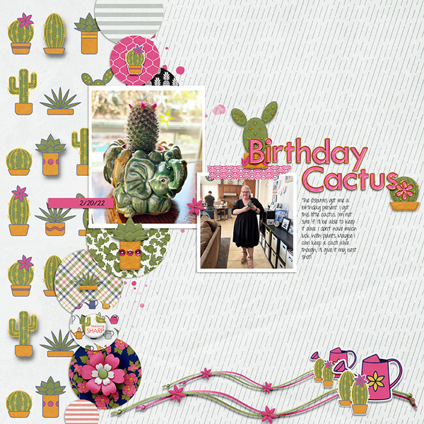 Birthday-Cactus