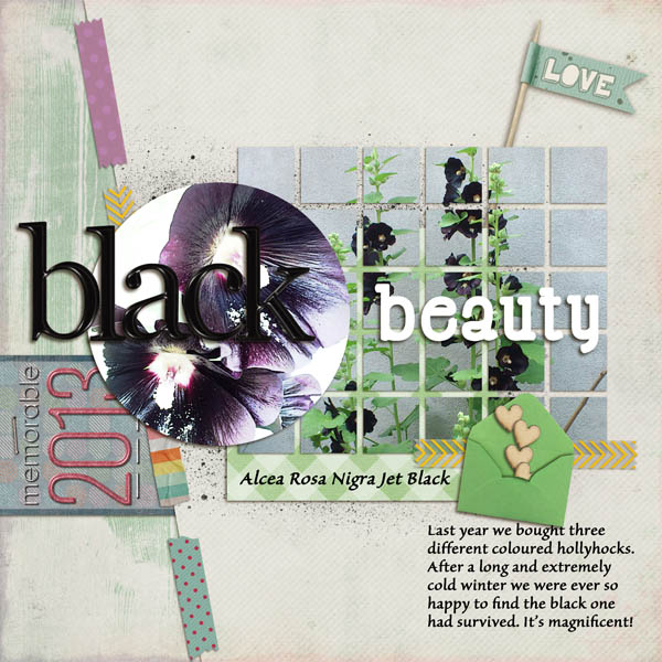 Black Beauty