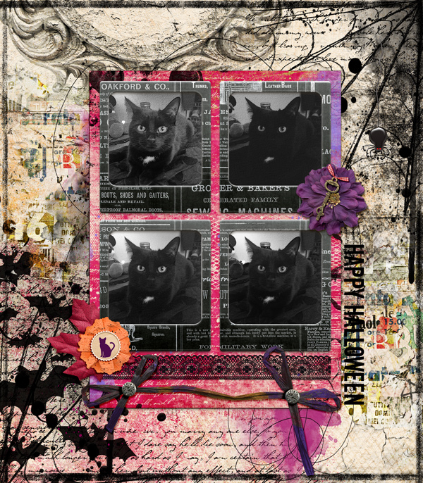Black Cat