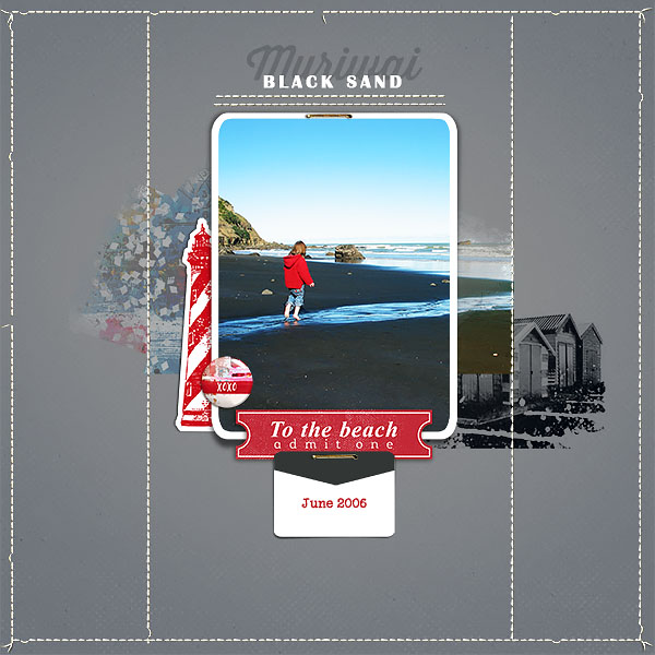 Black Sand Muriwai