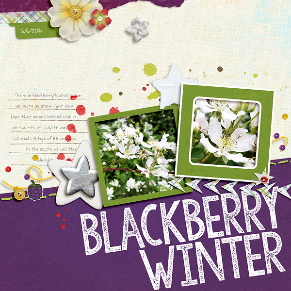 Blackberry Winter