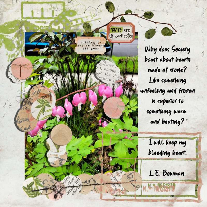 Bleeding Hearts
