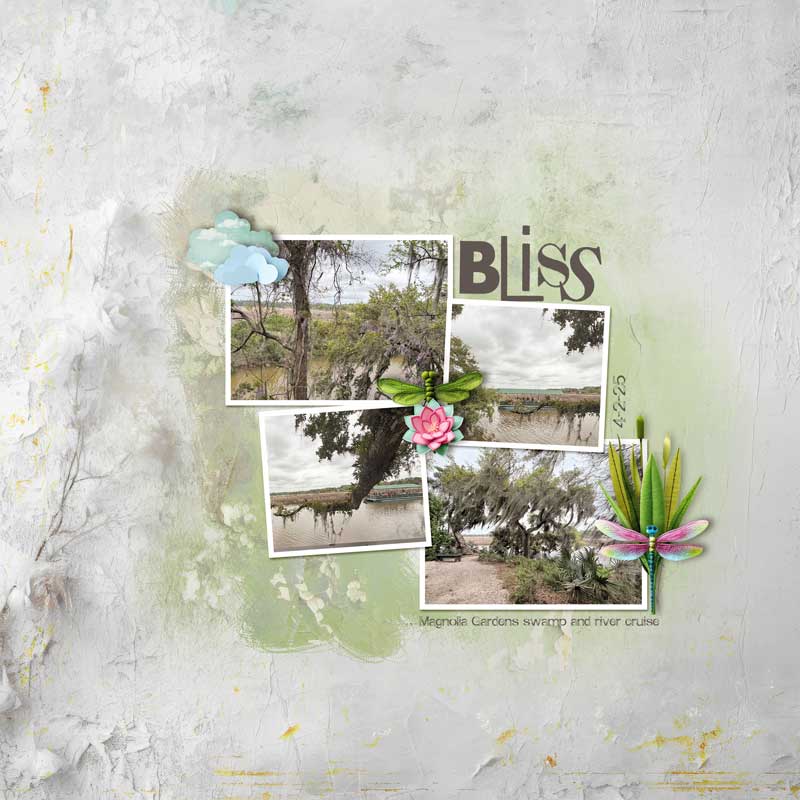 Bliss