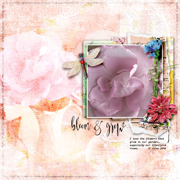 Bloom & Grow