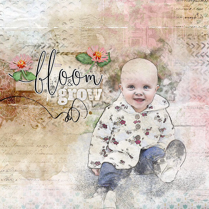 Bloom & Grow